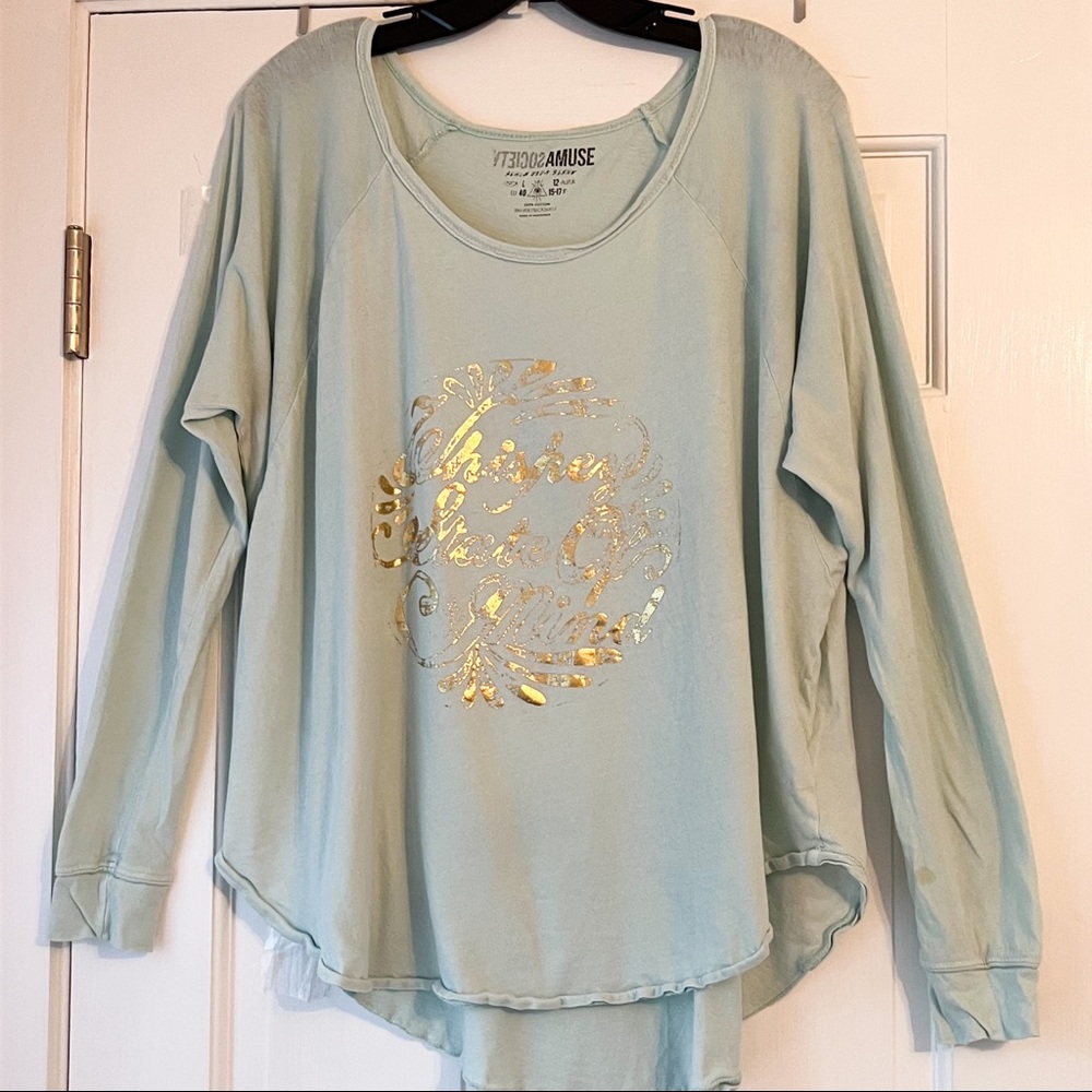 Amuse Society L Mint & Gold Oversized Graphic Top